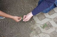 gal/A Fold Napja/_thb_IMG_7105.jpg